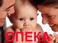 Реализация национального проекта по устройству детей в семьи Реализация национального проекта по устройству детей в семьи