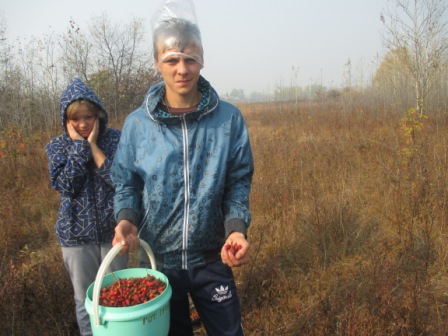 Сбор шиповника Сбор шиповника