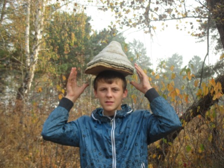 Сбор шиповника Сбор шиповника