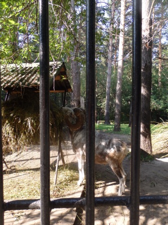«Живем по настоящему» «Живем по настоящему»