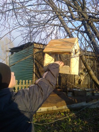 «Во саду ли в огороде» «Во саду ли в огороде»
