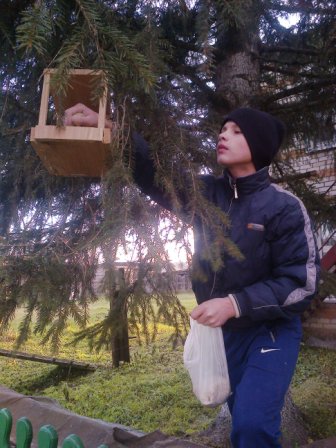 «Во саду ли в огороде» «Во саду ли в огороде»