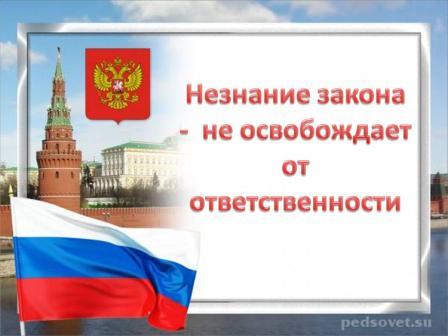 «Твой правовой статус - права, обязанности и ответственность от рождения до совершеннолетия» «Твой правовой статус - права, обязанности и ответственность от рождения до совершеннолетия»