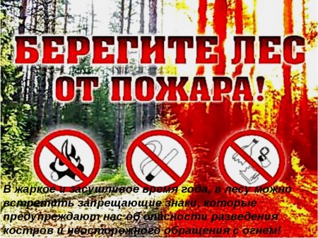 Берегите лес от огня ! Берегите лес от огня !
