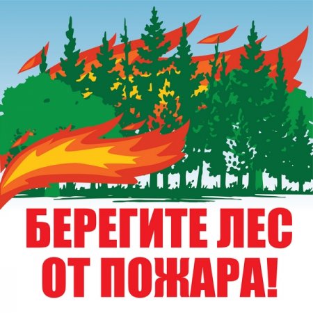 Берегите лес от огня ! Берегите лес от огня !