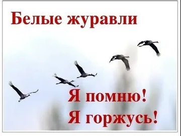 Акция памяти «День Белых Журавлей» Акция памяти «День Белых Журавлей»