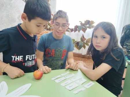 � ������� ���� ���������