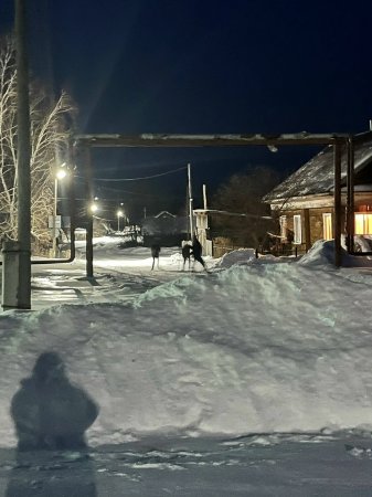 ���� � ���� �� ����� ��������� ���������� ������ ���������