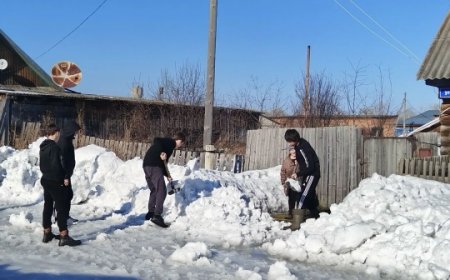 ���� ���������, ��������� �� ������ ������� � �������